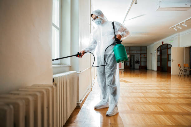 Real Estate Pest Inspections in King, NC